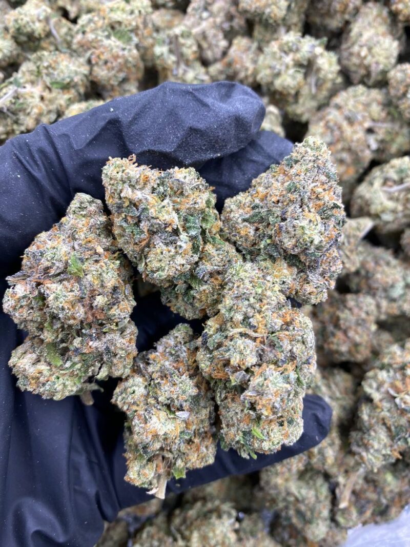AFGANI GLUE-AFGANI-GLUE.jpg