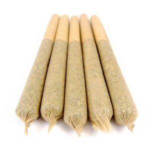 Animal Cookies Pre-Rolled