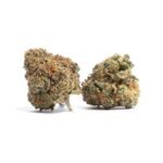 Animal Cookies