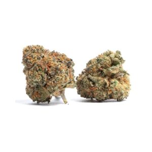 Animal Cookies