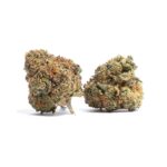 Animal Cookies