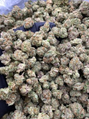 BLUE ZKITTLEZ SMALLS-BLUE-ZKITTLEZ-SMALLS.jpg