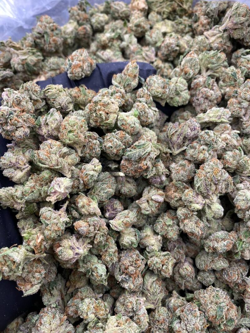 BLUE ZKITTLEZ SMALLS-BLUE-ZKITTLEZ-SMALLS.jpg