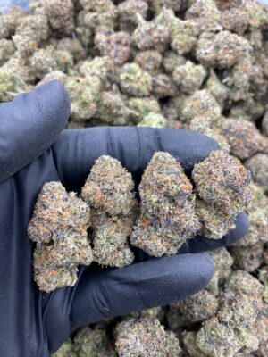 BSR SUPER LEMON CHERRY-BSR-SUPER-LEMON-CHERRY.jpg