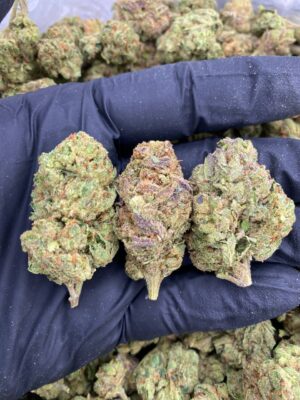 BUBBLE GELATO-BUBBLE-GELATO.jpg