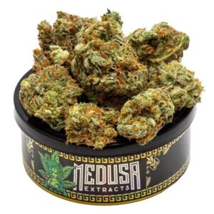 Blueberry Kush