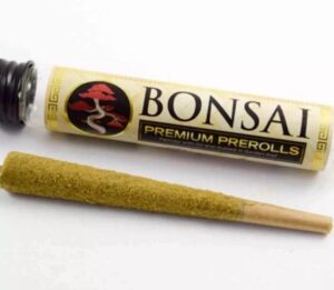 Bonsai Premium Pre-Rolls