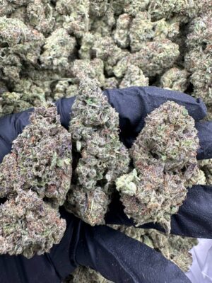 CANDY CREME-CANDY-CREME.jpg