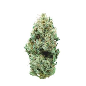 Cannatonic