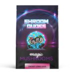 DADDY LONG LEGS MAGIC MUSHROOM