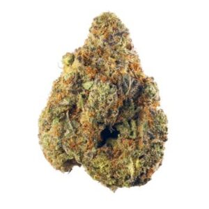 Dosi Killer