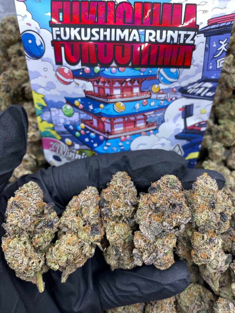 FUKUSHIMA RUNTZ-FUKUSHIMA-RUNTZ-🔥.jpg