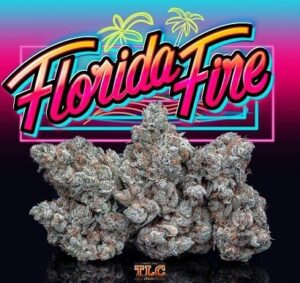 Florida Fire