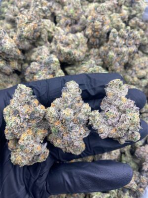 GAS FACE OG BY ZANNA-GAS-FACE-OG-BY-ZANNA.jpg