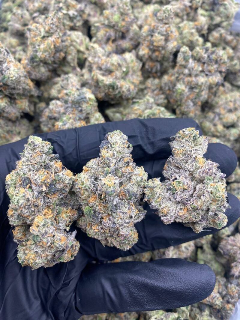 GAS FACE OG BY ZANNA-GAS-FACE-OG-BY-ZANNA.jpg