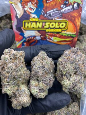 GMO HAN SOLO BURGER-GMO-HAN-SOLO-BURGER.jpg