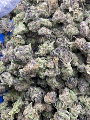 GUSH OASIS SMALLZ-GUSH-OASIS-SMALLZ.jpg