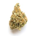 Gelato 45