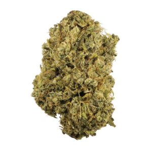Jungle Cake