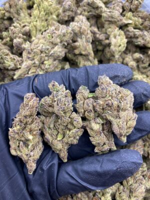 LEMON JACK-LA-CANDY-ROCKS.jpg