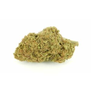 Mimosa