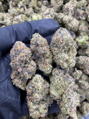 PURPLE CHERRIES-PURPLE-CHERRIES.jpg