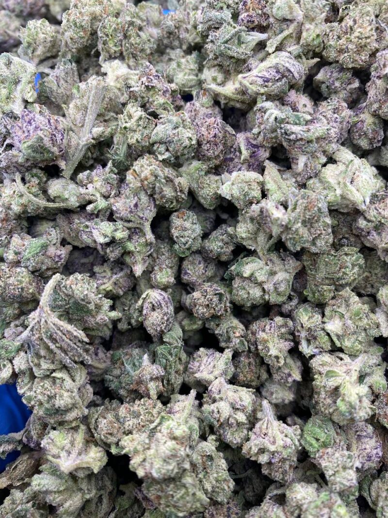 PURPLE POM CANDY SMALLS-PURPLE-POM-CANDY-SMALLS.jpg