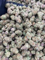 PURPLE TESLA SMALLS-PURPLE-TESLA-SMALLS.jpg
