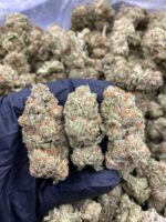 PURPLE ZKITTLEZ-PURPLE-ZKITTLEZ.jpg