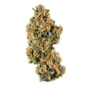 Paris OG