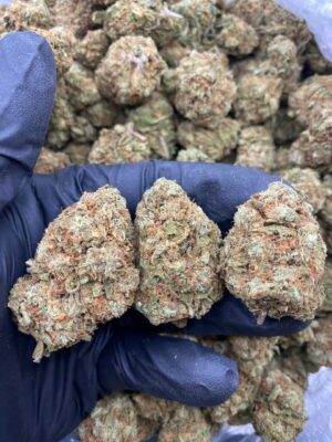 TRAINWRECK-TRAINWRECK.jpg