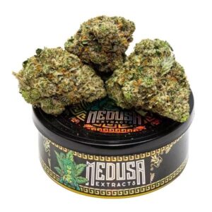 MK Ultra