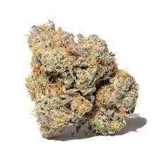 Triple Chocolate Chip