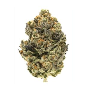 Blue Widow
