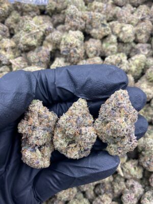 Blueberry Gelato-blueberry-gelato.jpg