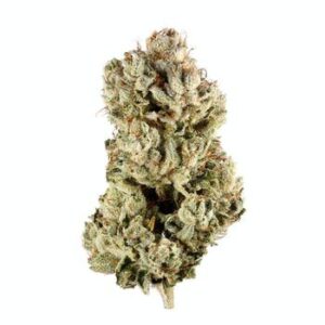Gorilla Glue 4/GG 4