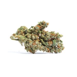 Girl Scout Cookies