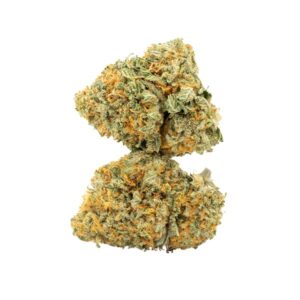 Jack Diesel