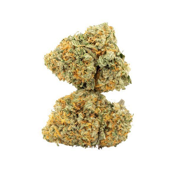 Jack Diesel