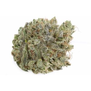 Jungle Cake