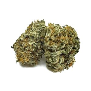 Purple Afghan Kush