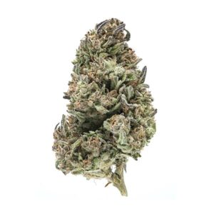 Purple Chemo