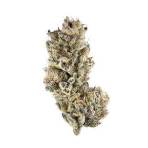 Purple Punch