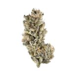 Purple Punch