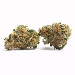 Chem 91 Va SfVTK