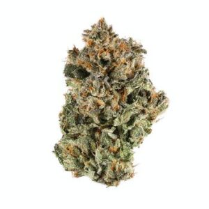 Sunset Sherbert